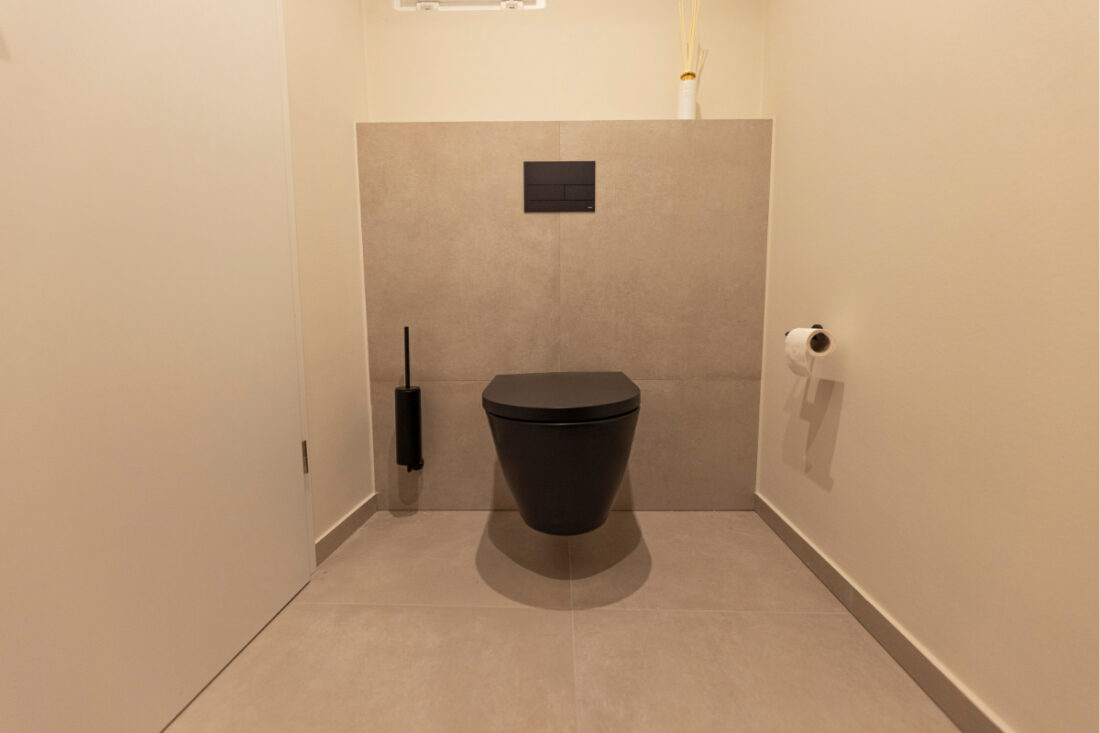 Referenzbild einer Toilette der Firma Luginsland